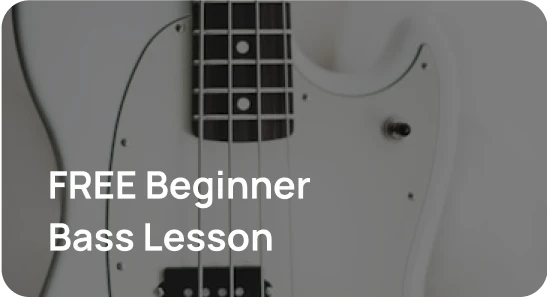 Beginner Bass Foundations